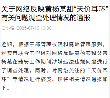 四川通报网络反映黄杨某甜“天价耳环”有关问题调查处理情况