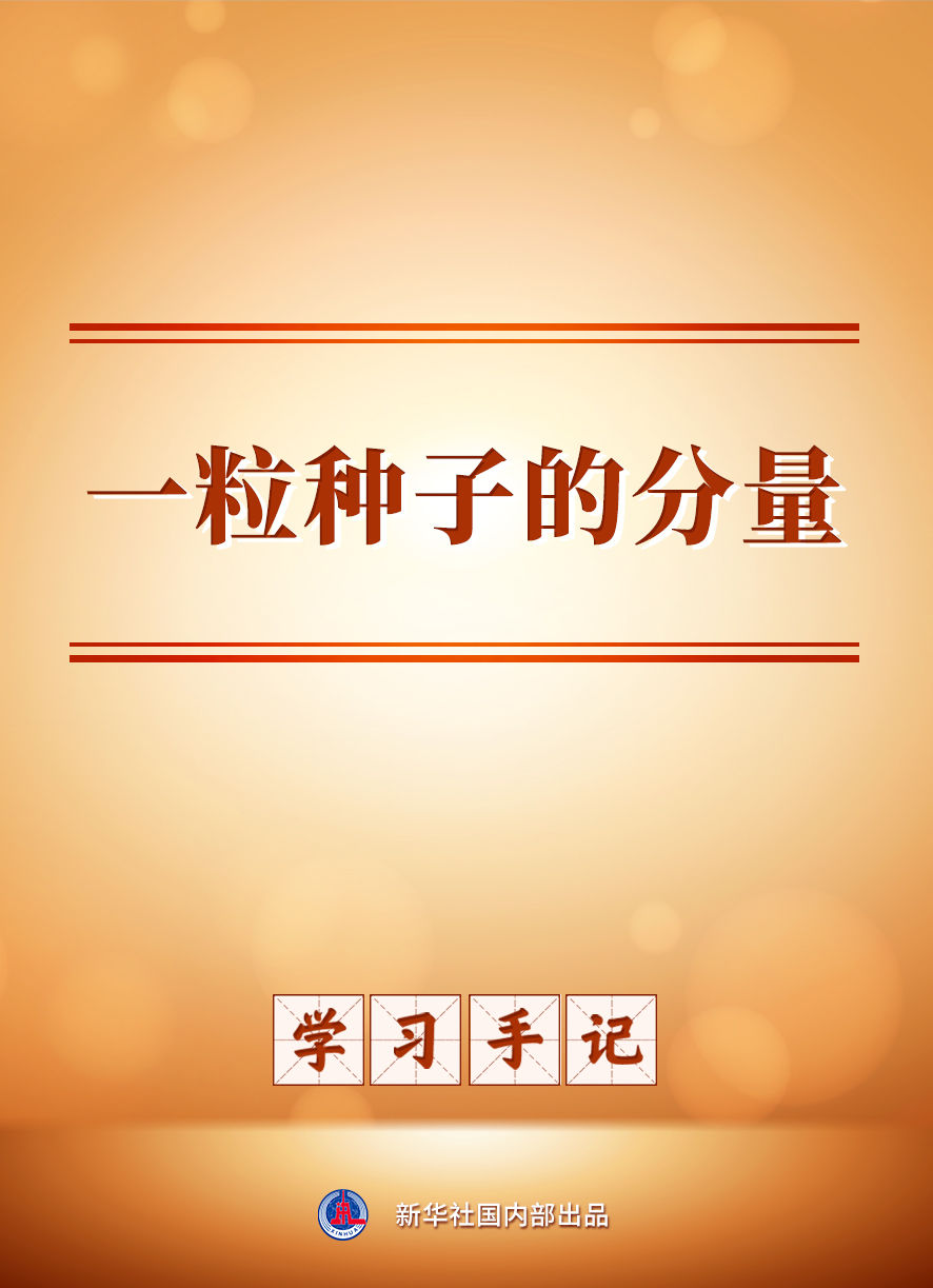 学习手记｜一粒种子的分量