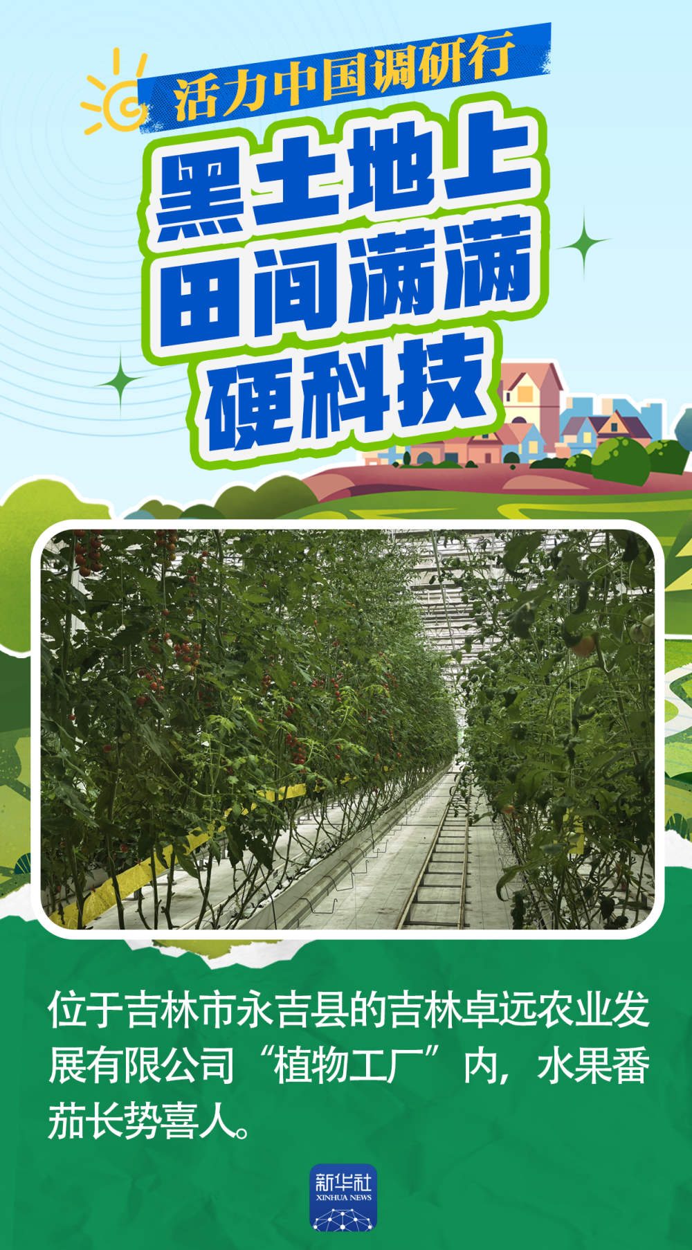 活力中国调研行｜一产“焕新”：黑土地上 田间满满硬科技