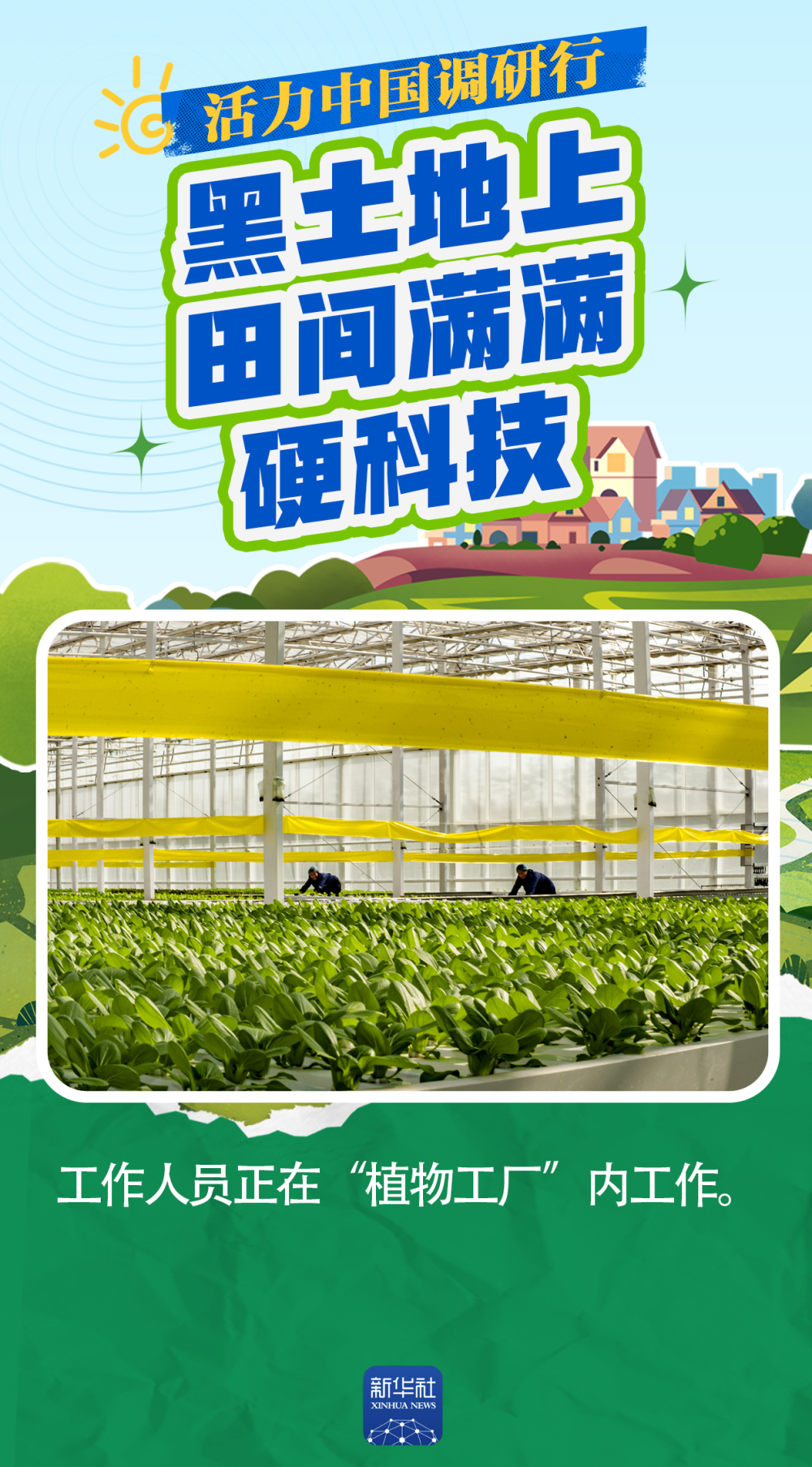活力中国调研行｜一产“焕新”：黑土地上 田间满满硬科技