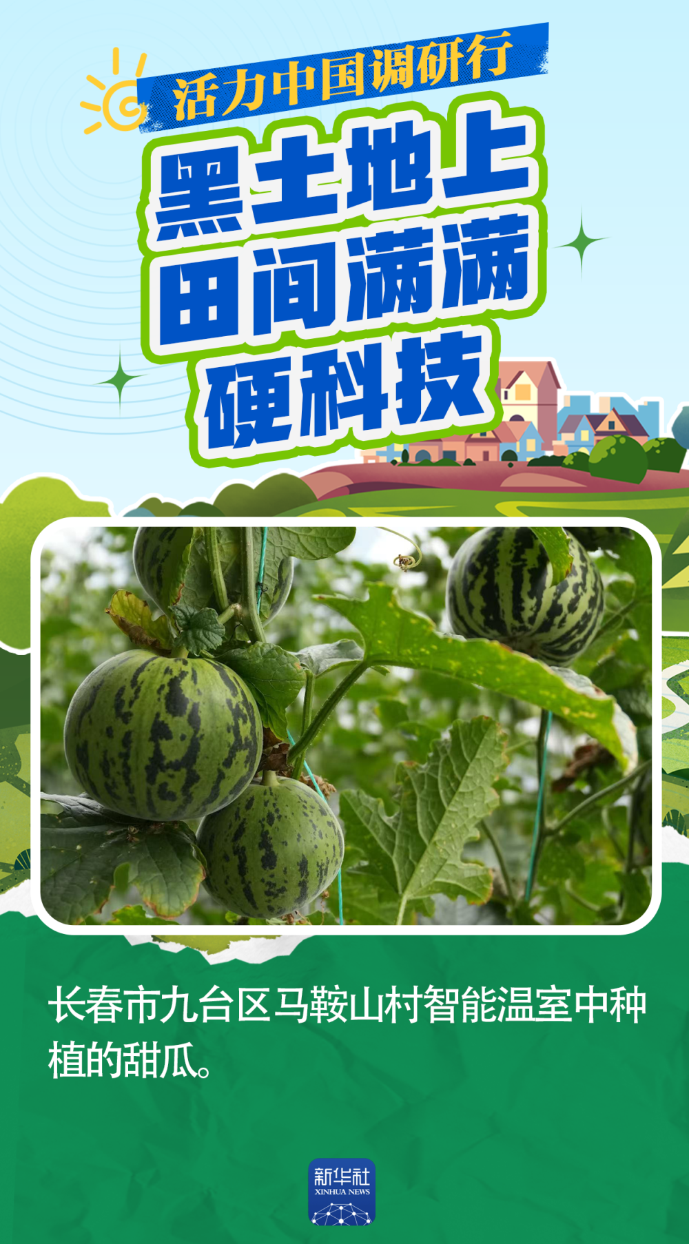 活力中国调研行｜一产“焕新”：黑土地上 田间满满硬科技