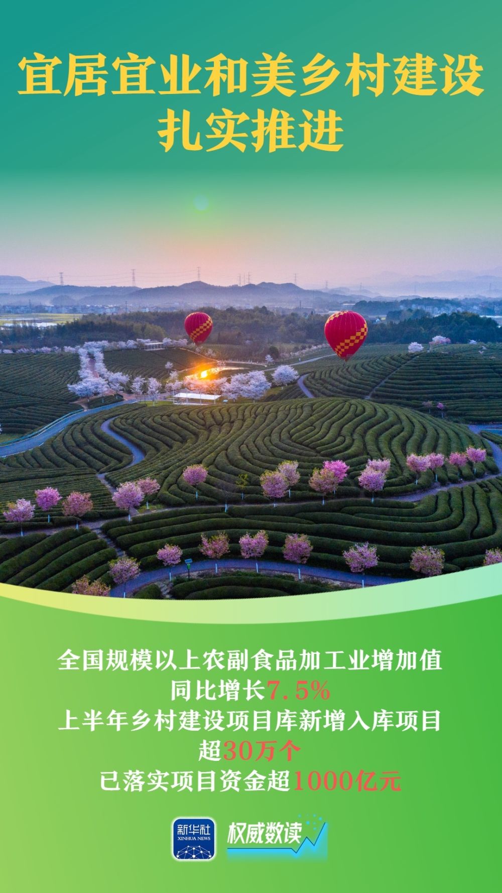 权威数读｜七大特点读懂上半年农业农村经济