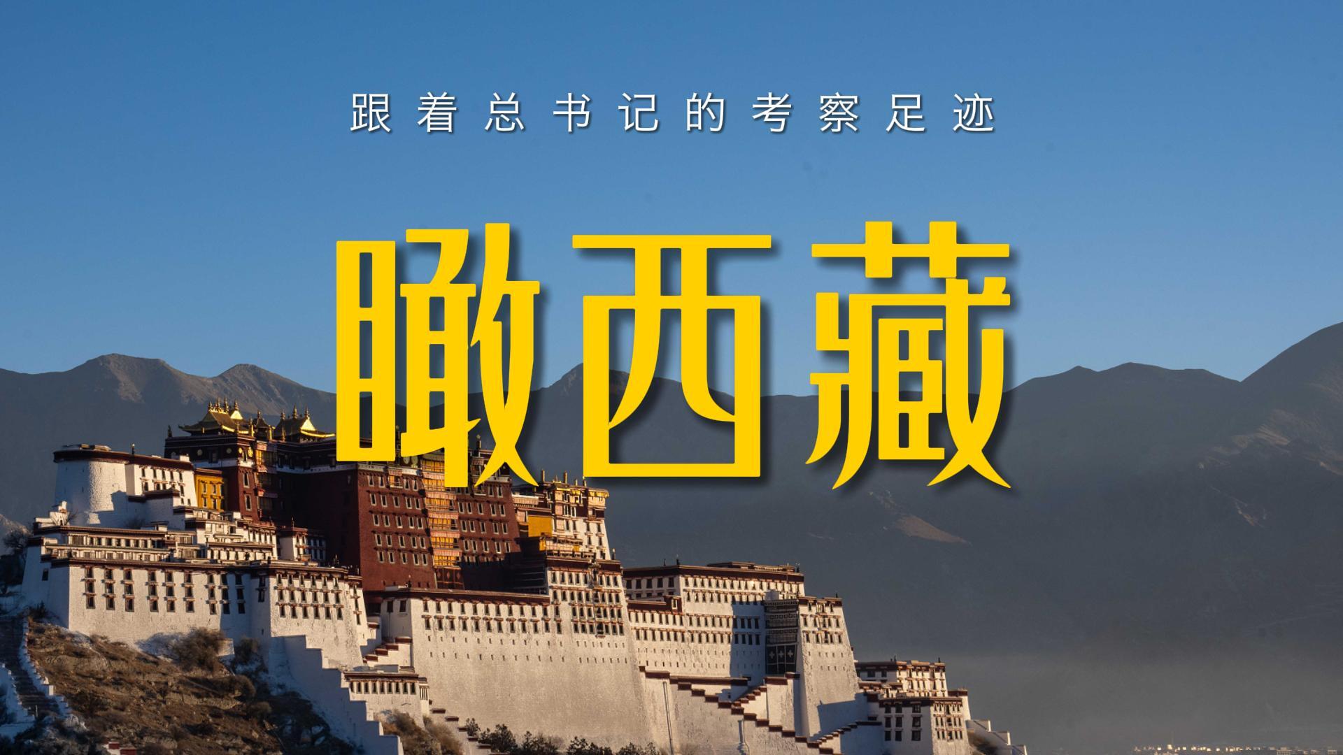 点击查看完整视频