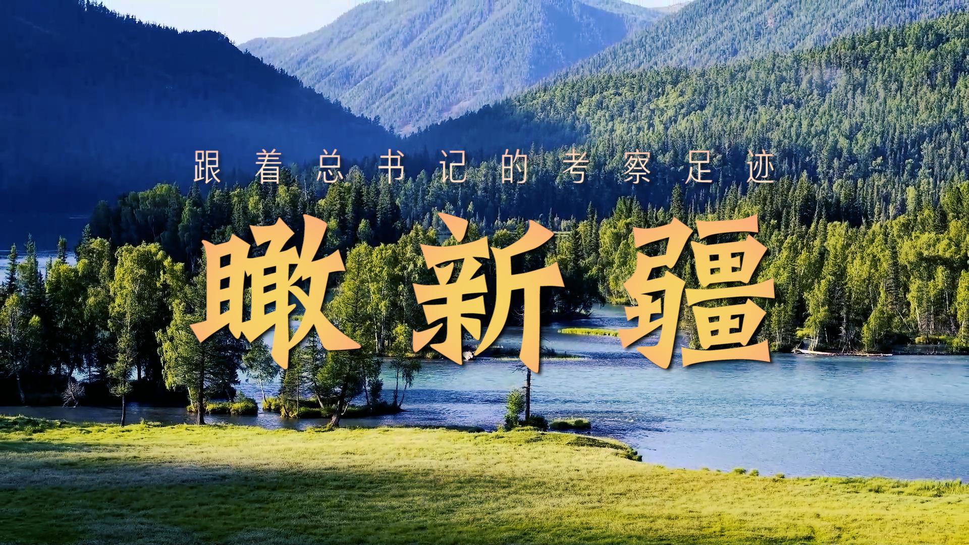 点击查看完整视频