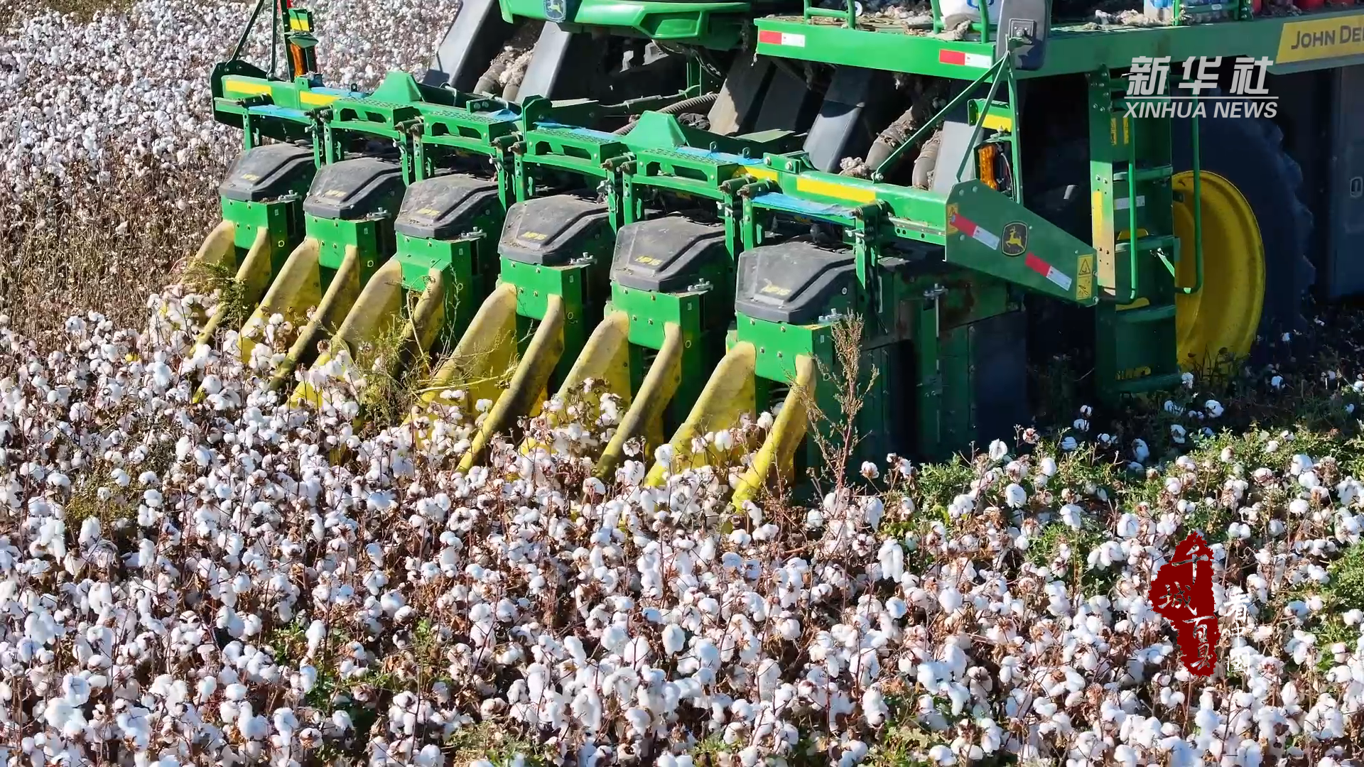 千城百县看中国｜新疆昌吉：机械化采棉正当时