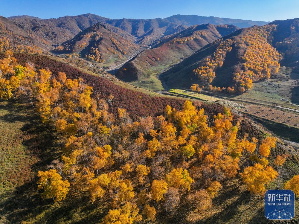 大青山之秋