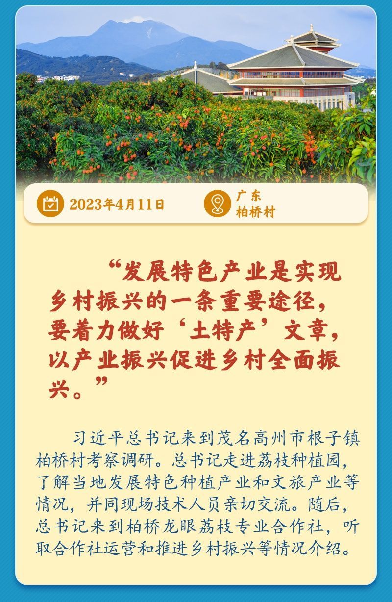 学习新语｜总书记引领推动乡村振兴迈出坚实步伐
