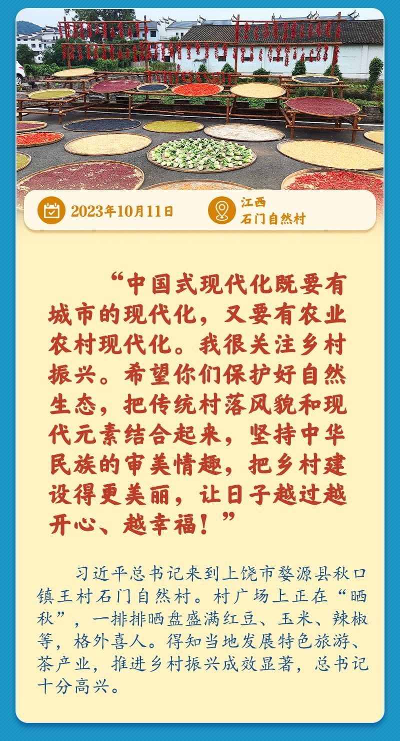 学习新语｜总书记引领推动乡村振兴迈出坚实步伐