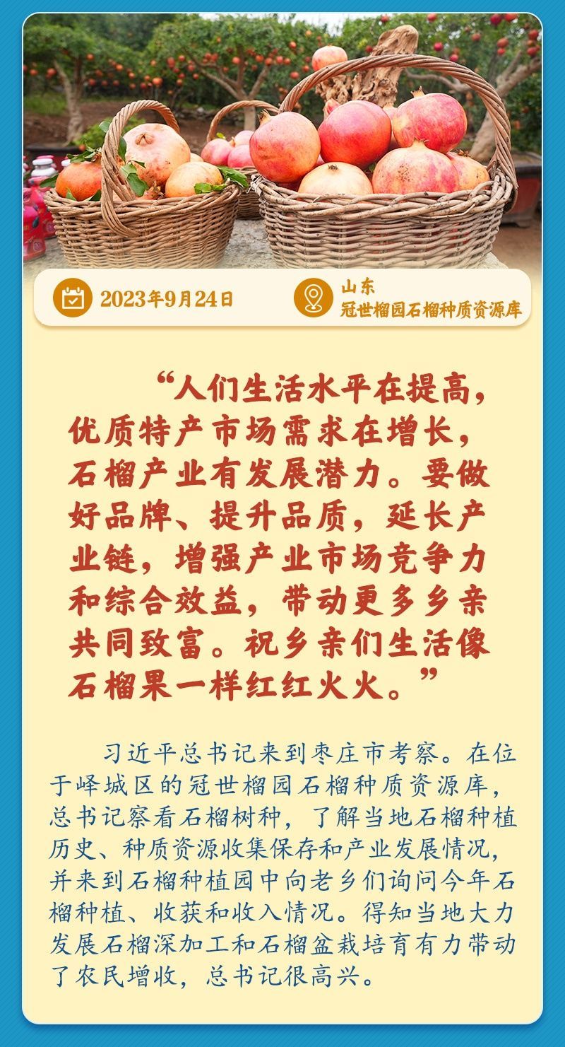 学习新语｜总书记引领推动乡村振兴迈出坚实步伐