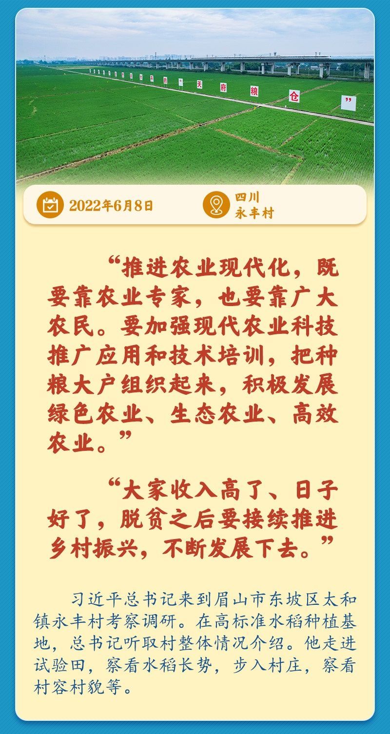 学习新语｜总书记引领推动乡村振兴迈出坚实步伐