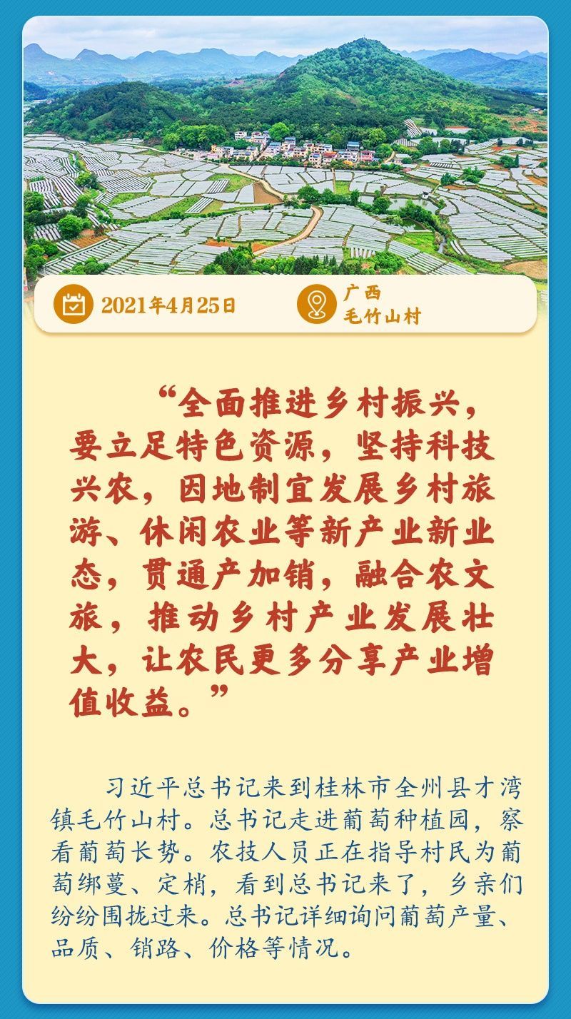 学习新语｜总书记引领推动乡村振兴迈出坚实步伐