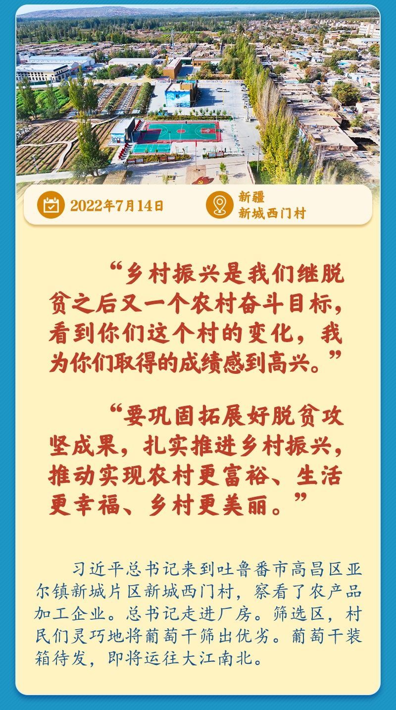 学习新语｜总书记引领推动乡村振兴迈出坚实步伐