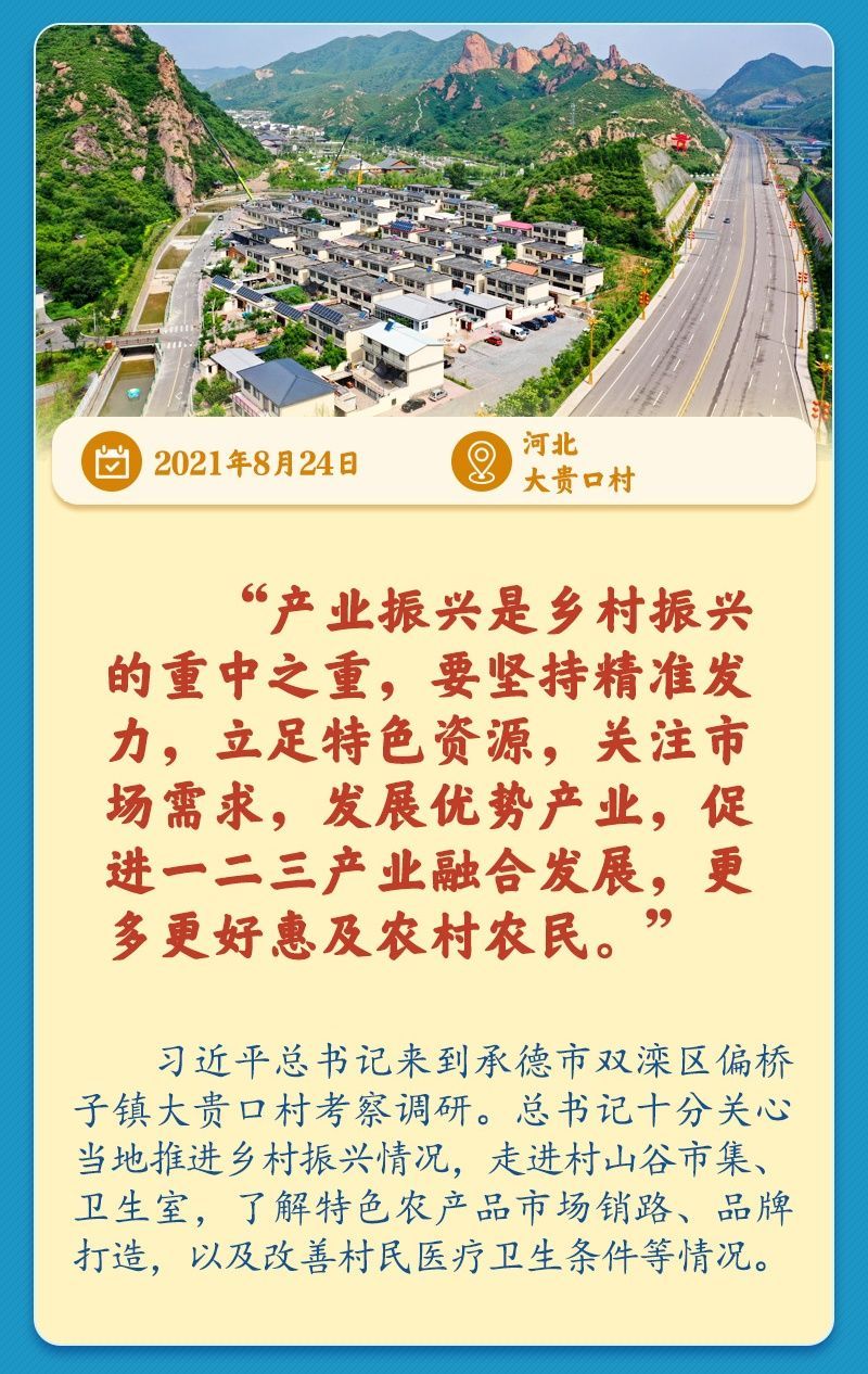 学习新语｜总书记引领推动乡村振兴迈出坚实步伐