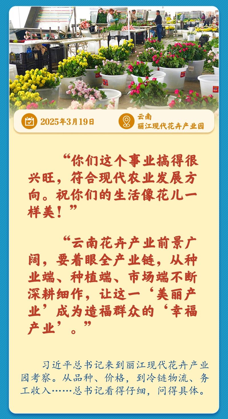 学习新语｜总书记引领推动乡村振兴迈出坚实步伐