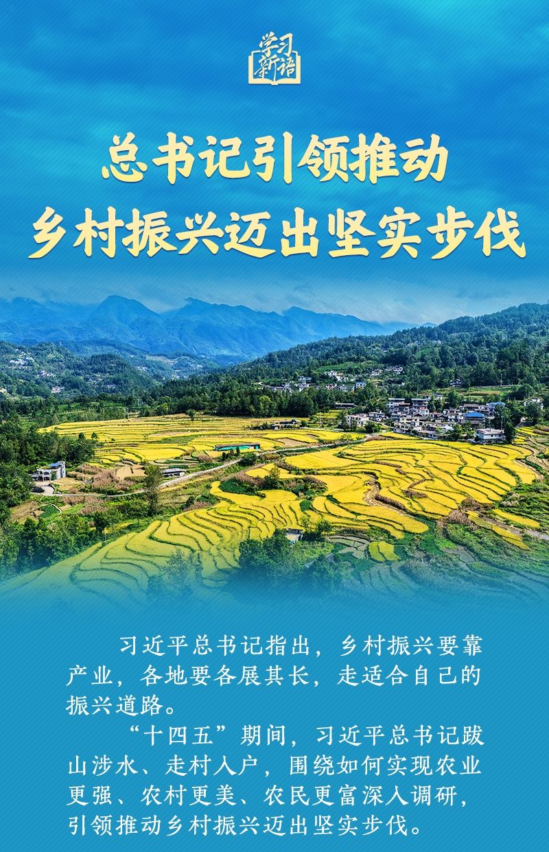 学习新语｜总书记引领推动乡村振兴迈出坚实步伐
