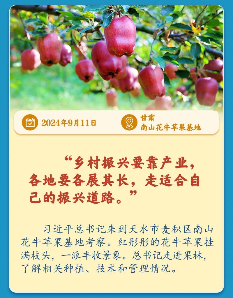 学习新语｜总书记引领推动乡村振兴迈出坚实步伐