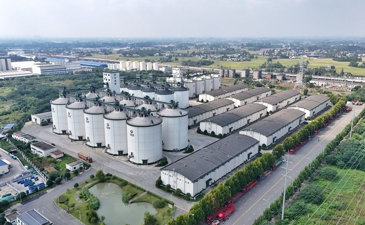 端牢中国饭碗 共护大国粮仓——写在第45个世界粮食日到来之际