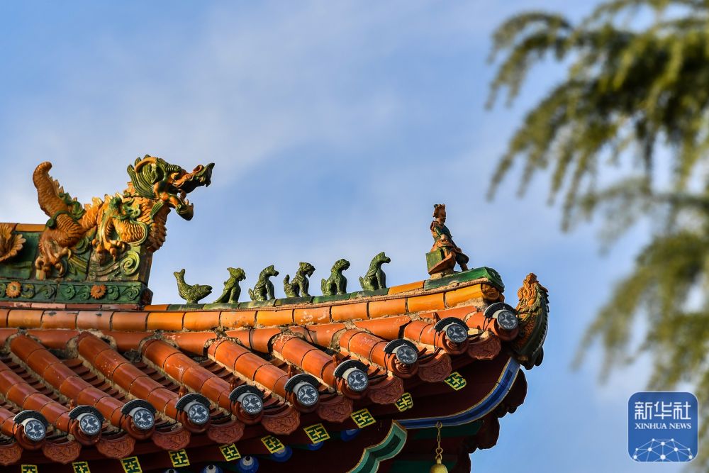 住在古建顶上的“精灵”