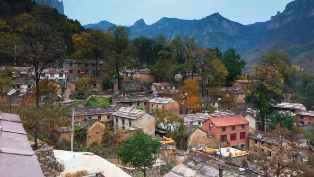 “文旅+”新業(yè)態(tài)為河南林州秋色增添詩意與活力