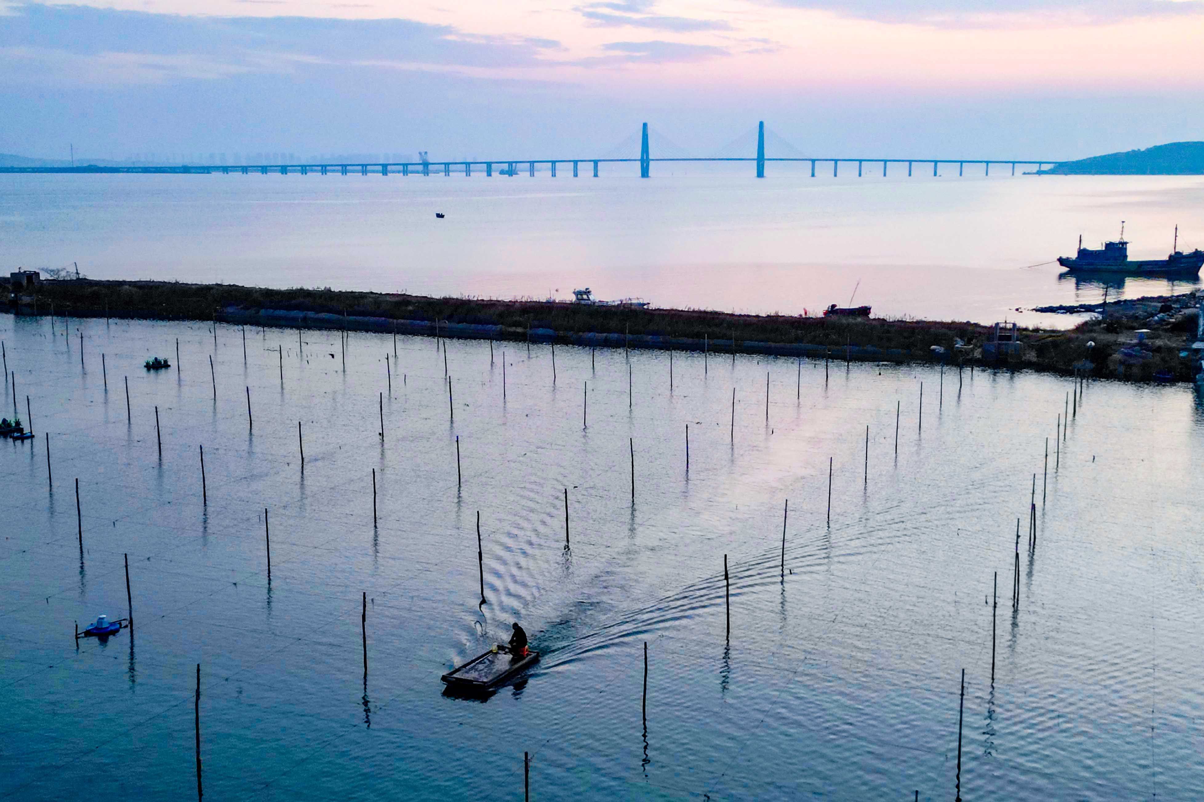 四中全会精神在基层|山东:耕海牧渔充盈“蓝色粮仓”