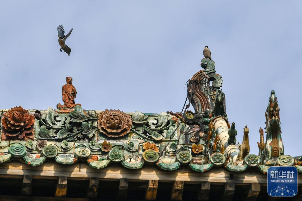 住在古建顶上的“精灵”