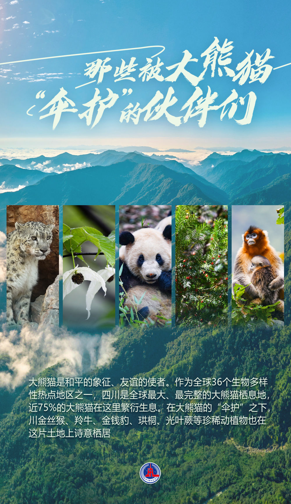 那些被大熊猫“伞护”的伙伴们