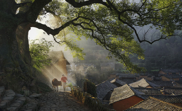 丽水市松阳县传统村落。