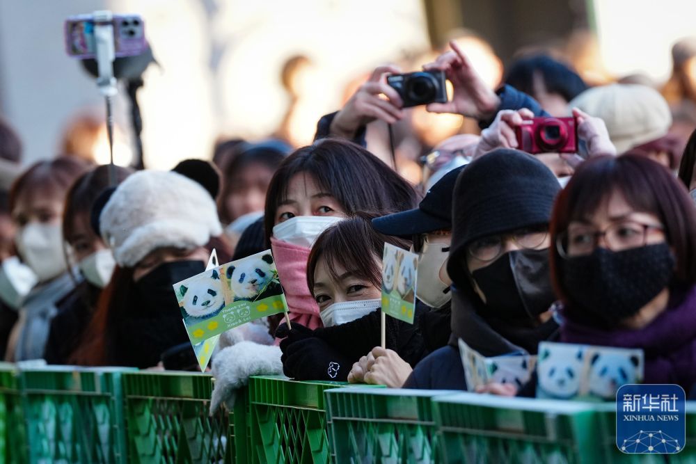大熊猫“晓晓”和“蕾蕾”将于27日从日本回国