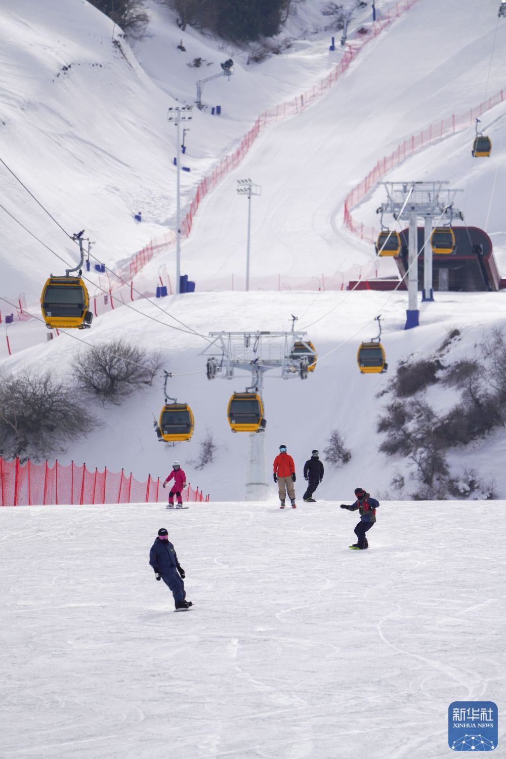 新疆那拉提：雪原跃动“热雪”激情