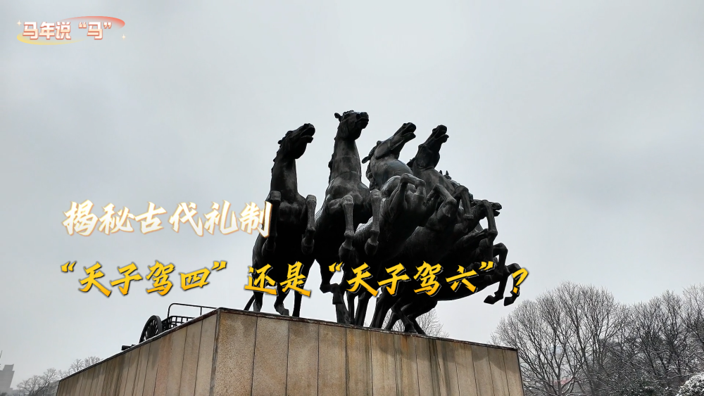 马年说“马”｜揭秘古代礼制：“天子驾四”还是“天子驾六”？