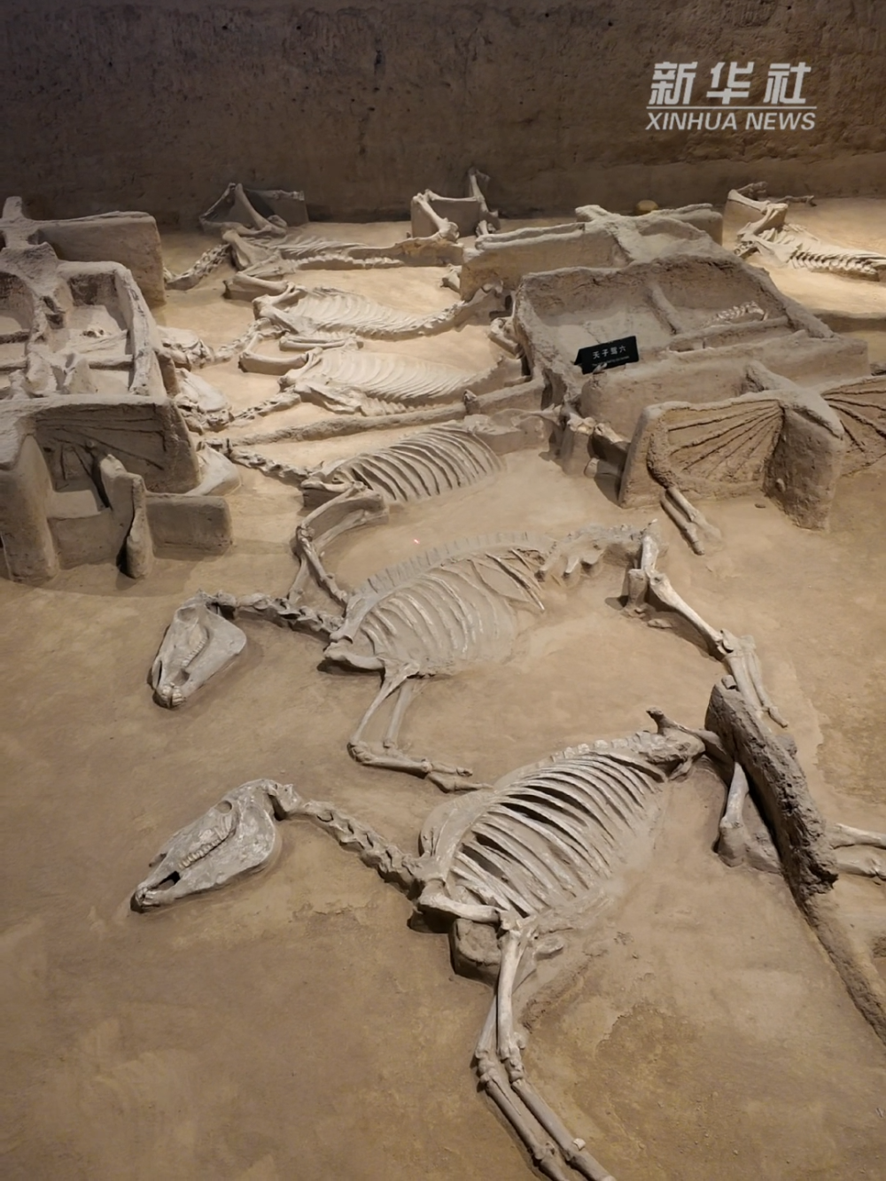 马年说“马”｜揭秘古代礼制：“天子驾四”还是“天子驾六”？