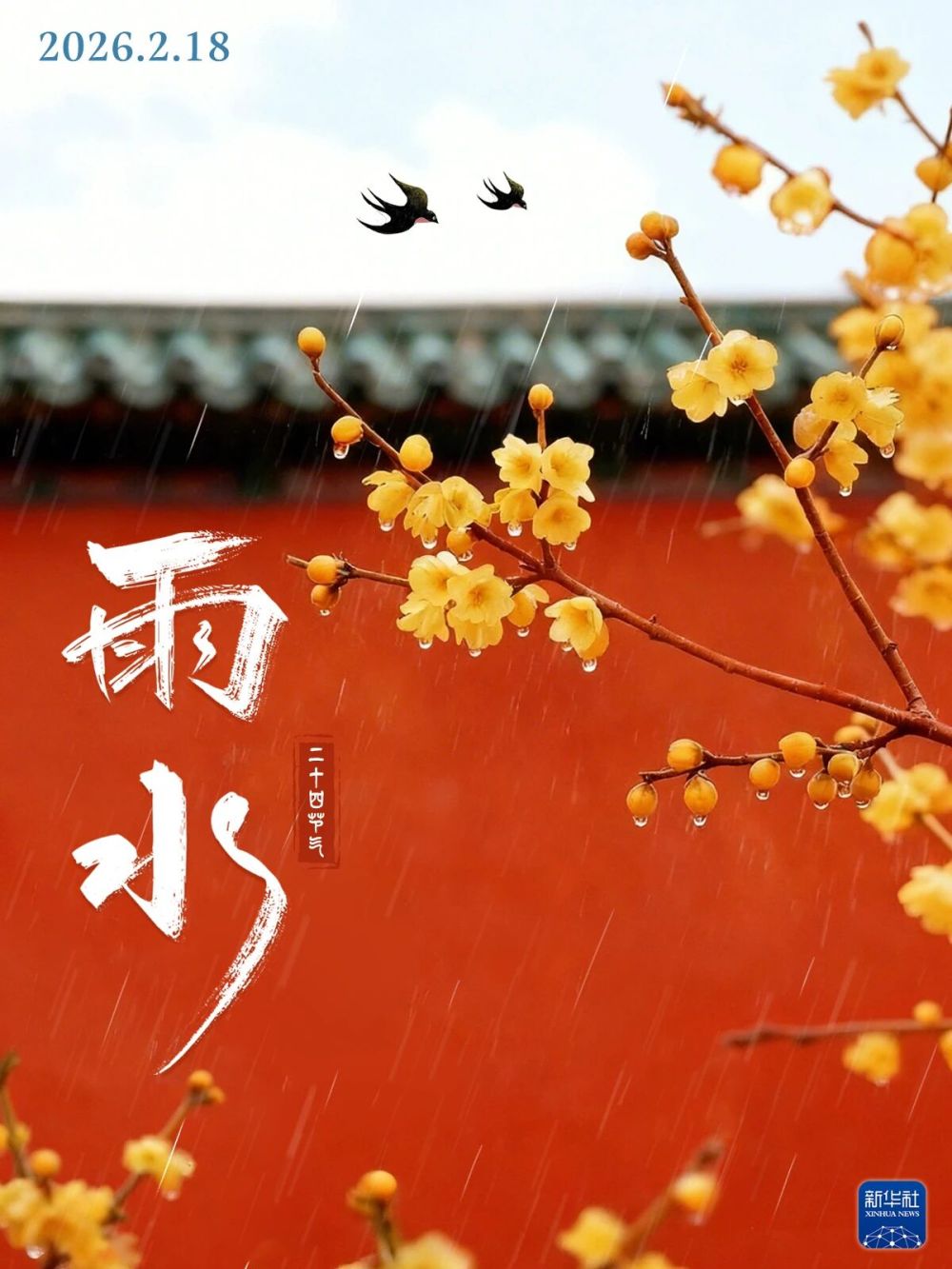 雨水逢初二，好运滚滚来！