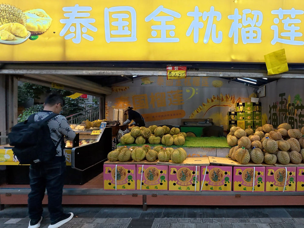 新春走基层·驻外记者回乡手记｜春城的花 花城的春