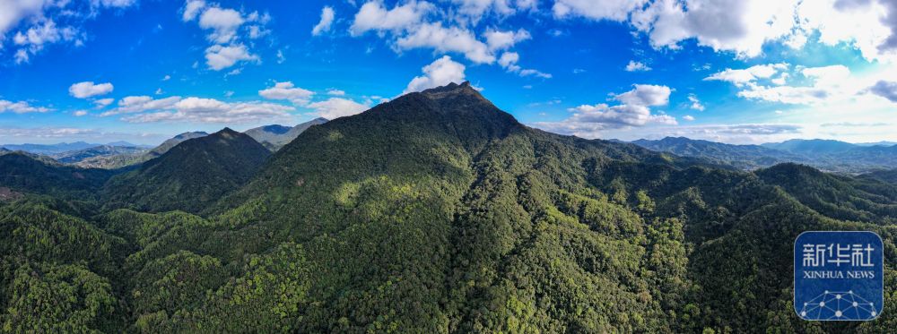 春到五指山