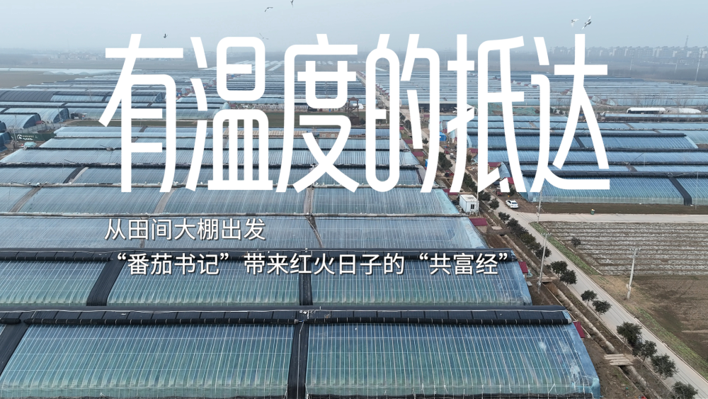 有溫度的抵達｜從田間大棚出發(fā)，“番茄書記”帶來紅火日子的“共富經(jīng)”