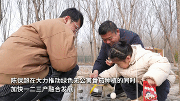 有溫度的抵達｜從田間大棚出發(fā)，“番茄書記”帶來紅火日子的“共富經(jīng)”