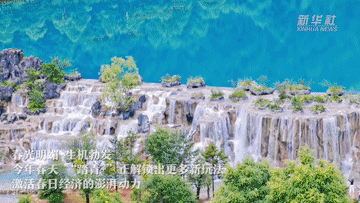 春日经济一线观察｜“踏青+”打造多元消费新场景