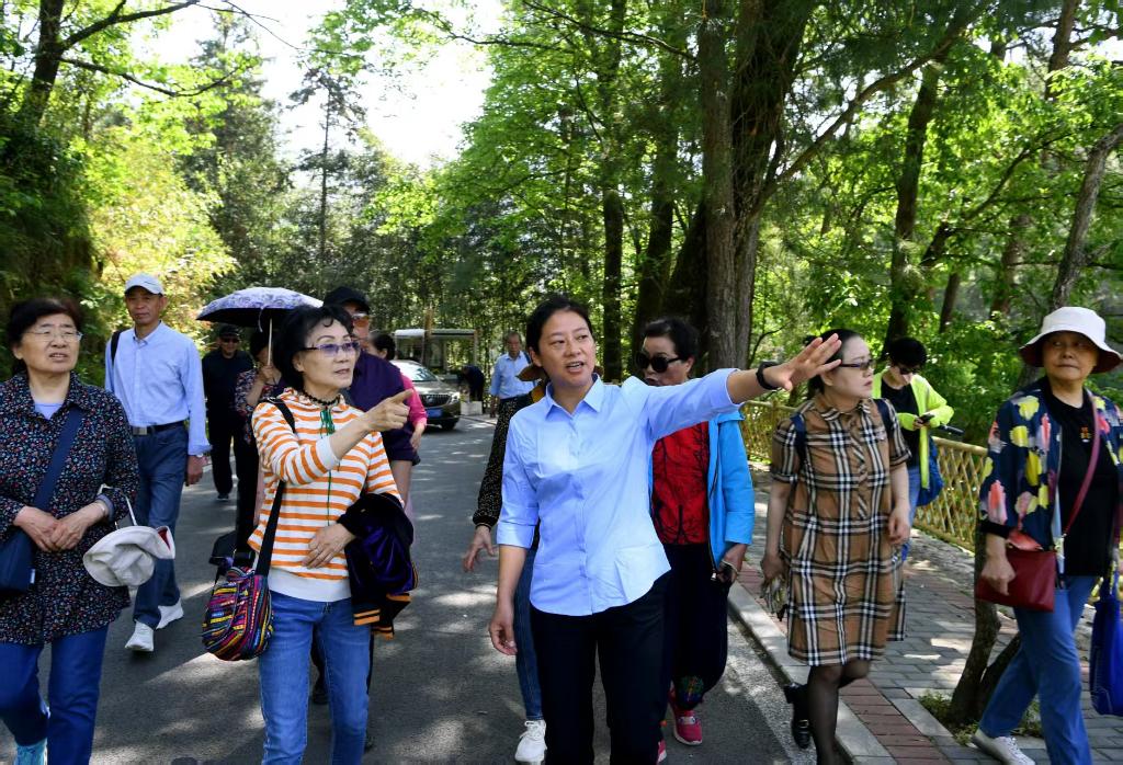 走出贫困的大别山古村邀客来