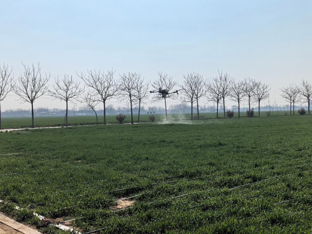 河南清丰：无人农场咋春管