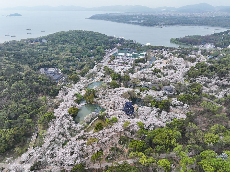 学习进行时｜习近平总书记与代表委员的“两会问答”故事