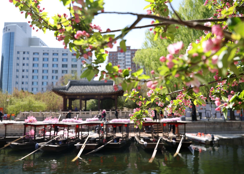 北京：春意漾花溪