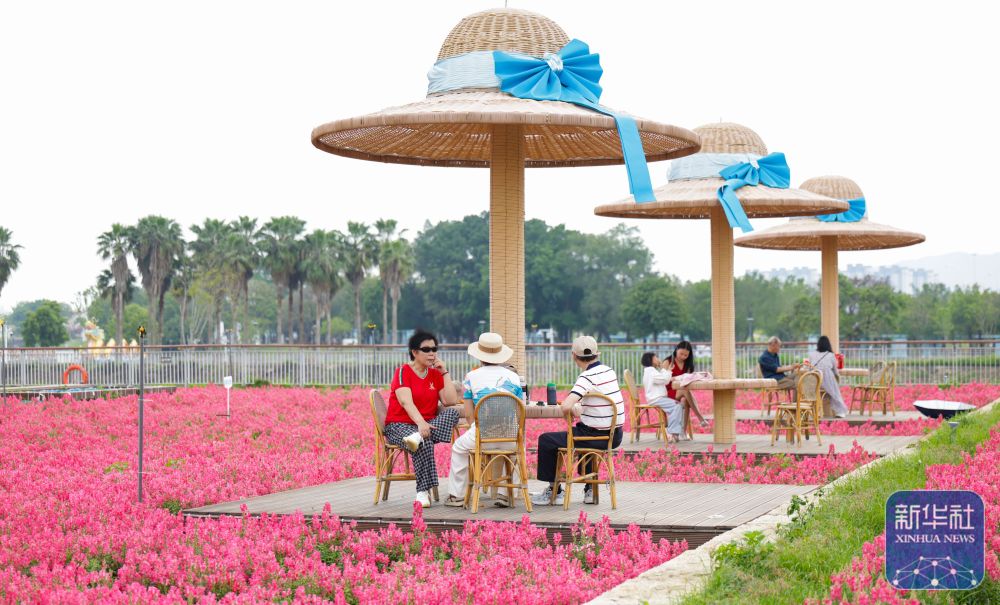 福建漳州：岸线焕新 城市更新