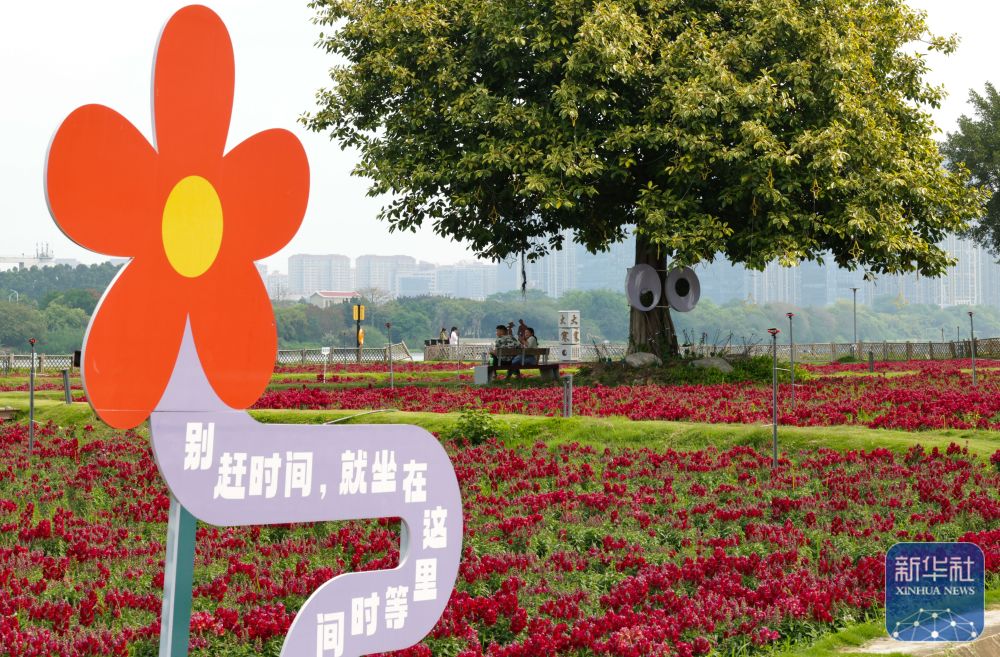 福建漳州：岸线焕新 城市更新