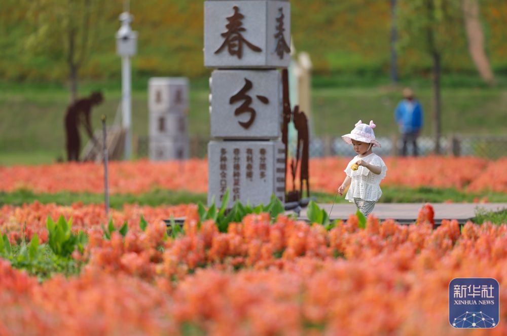 福建漳州：岸线焕新 城市更新