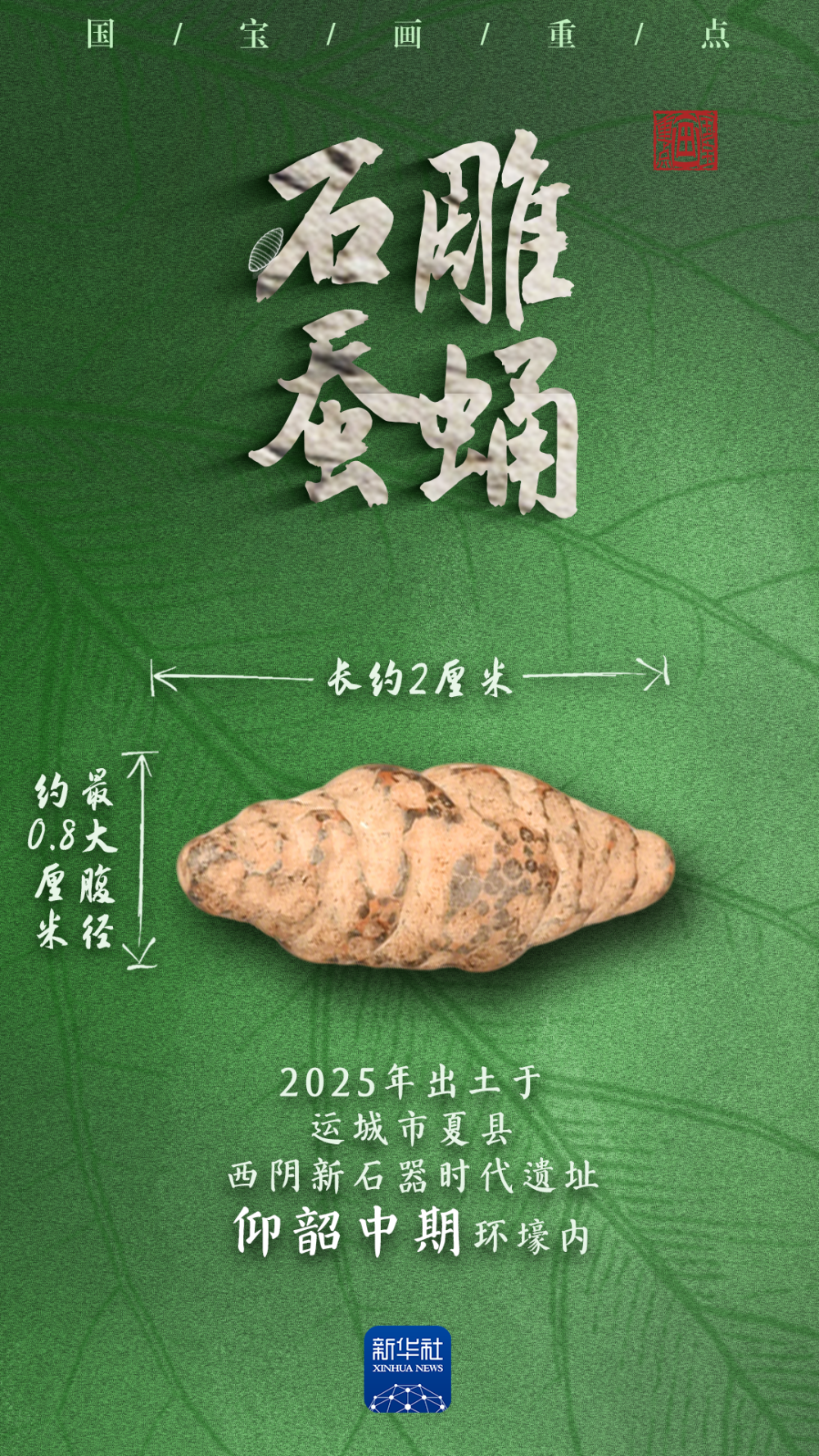  国宝画重点｜多地出土，它们是5000多年前的蚕蛹艺术品吗？