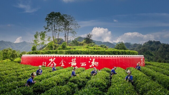 联合国认证！湖南5个村子凭实力出圈