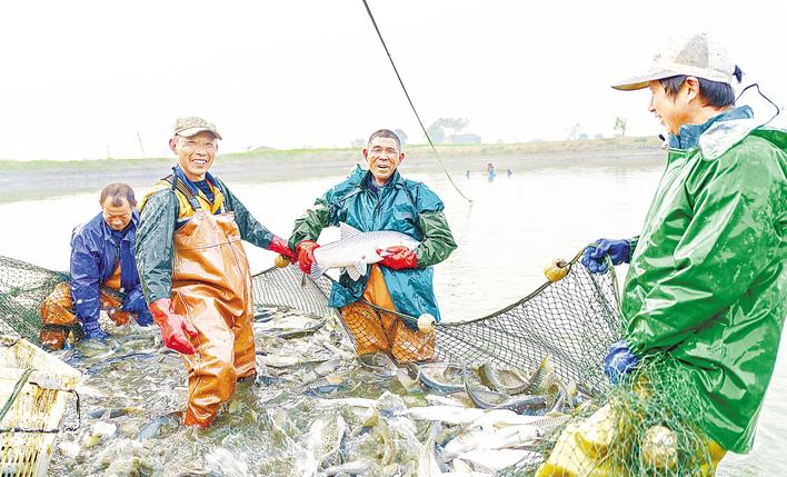 湖北十大重点农业产业链综合产值1.19万亿元