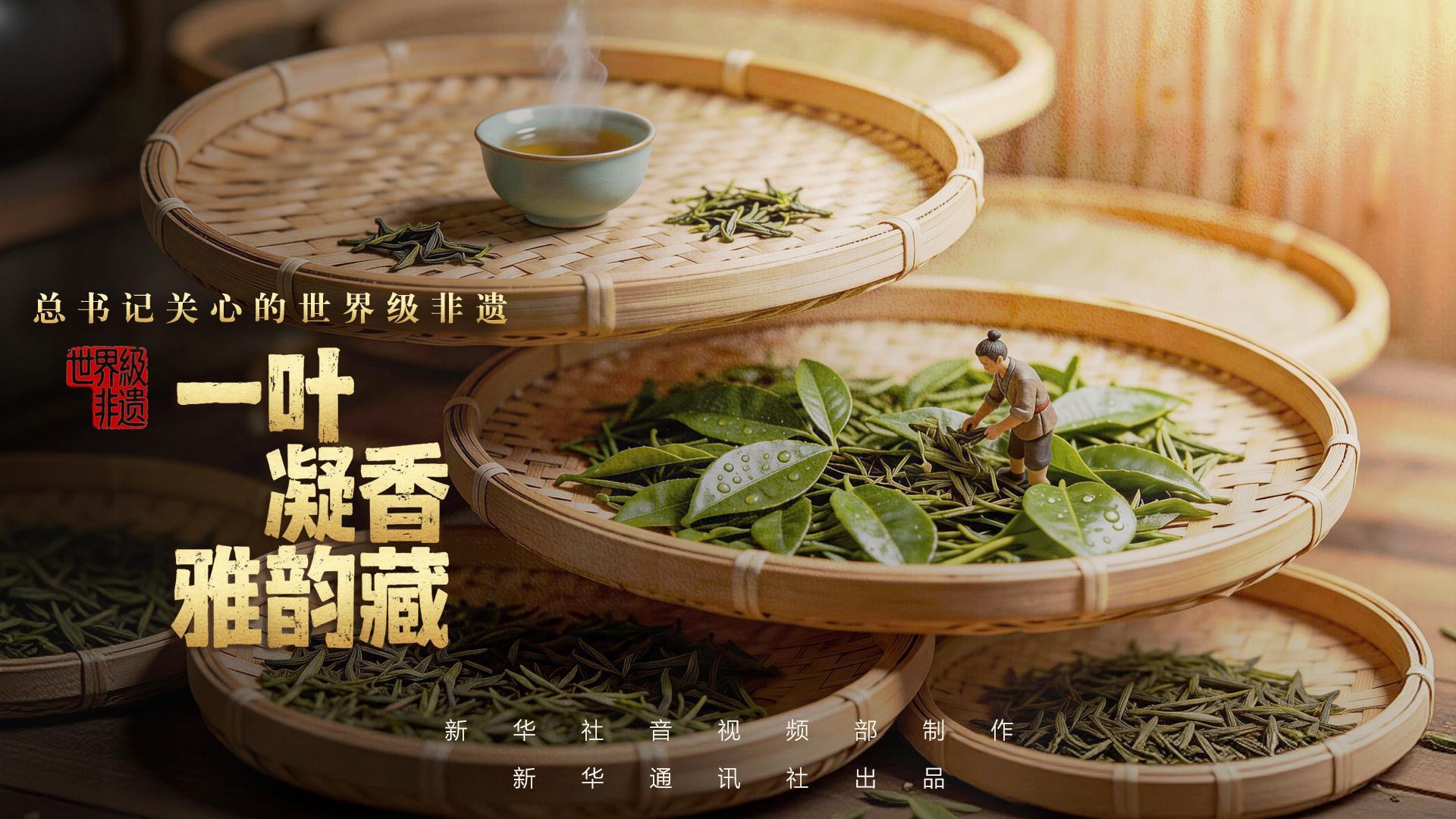 点击查看完整视频