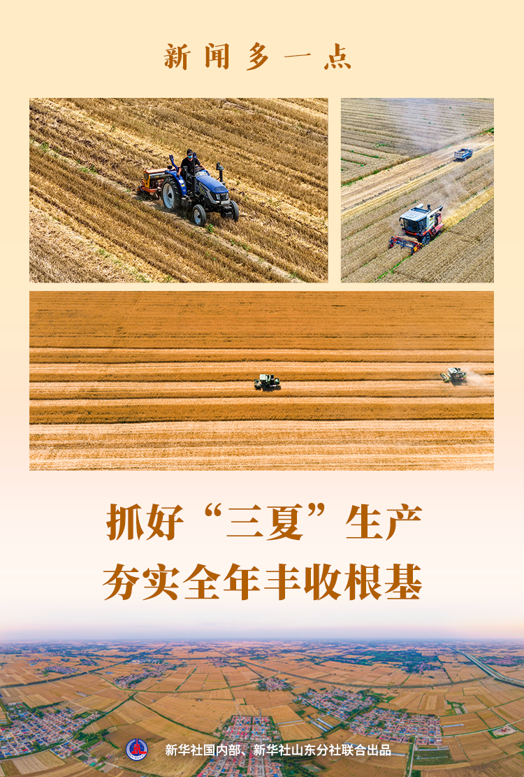 新闻多一点｜抓好“三夏”生产　夯实全年丰收根基