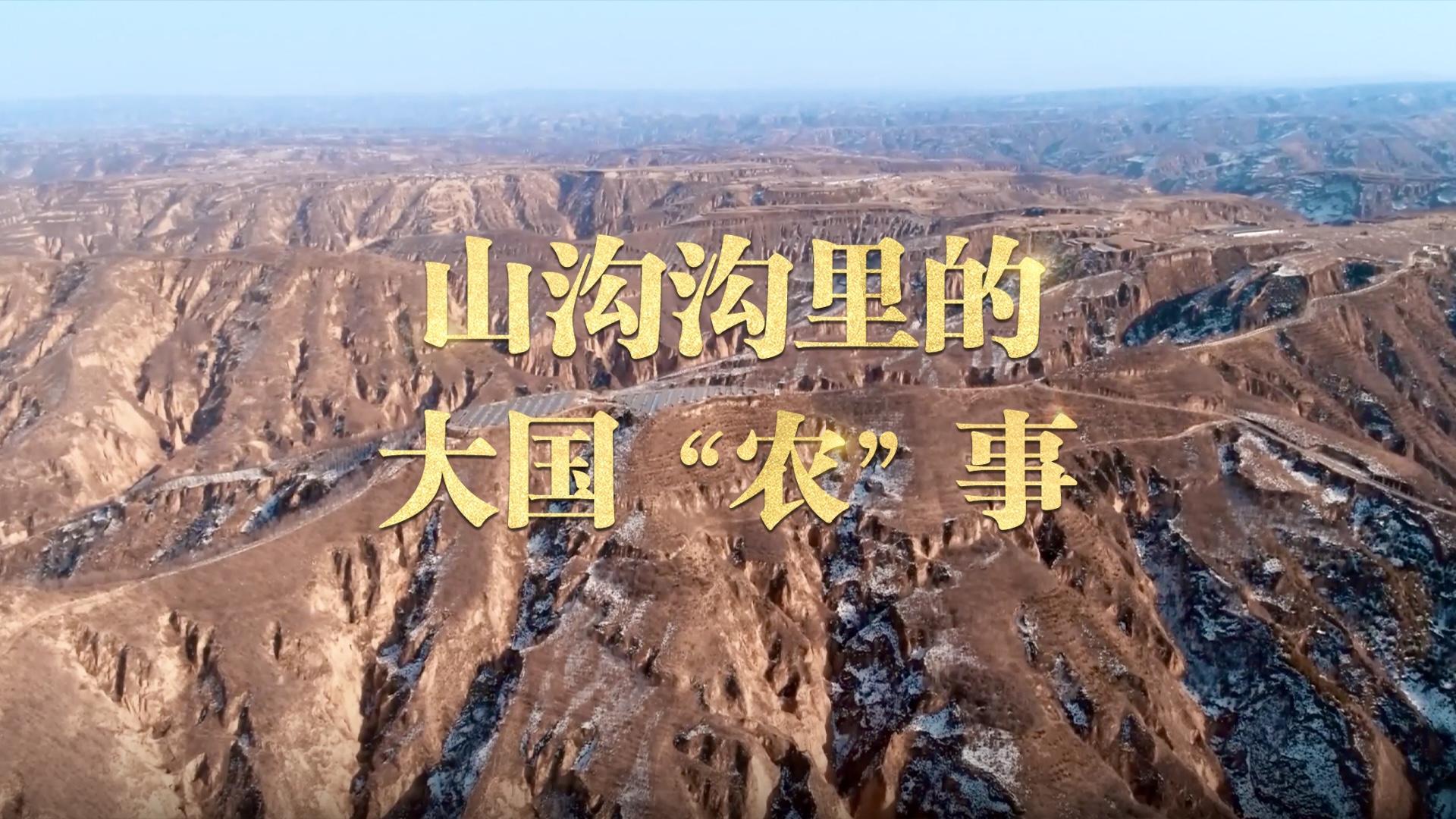 点击查看完整视频